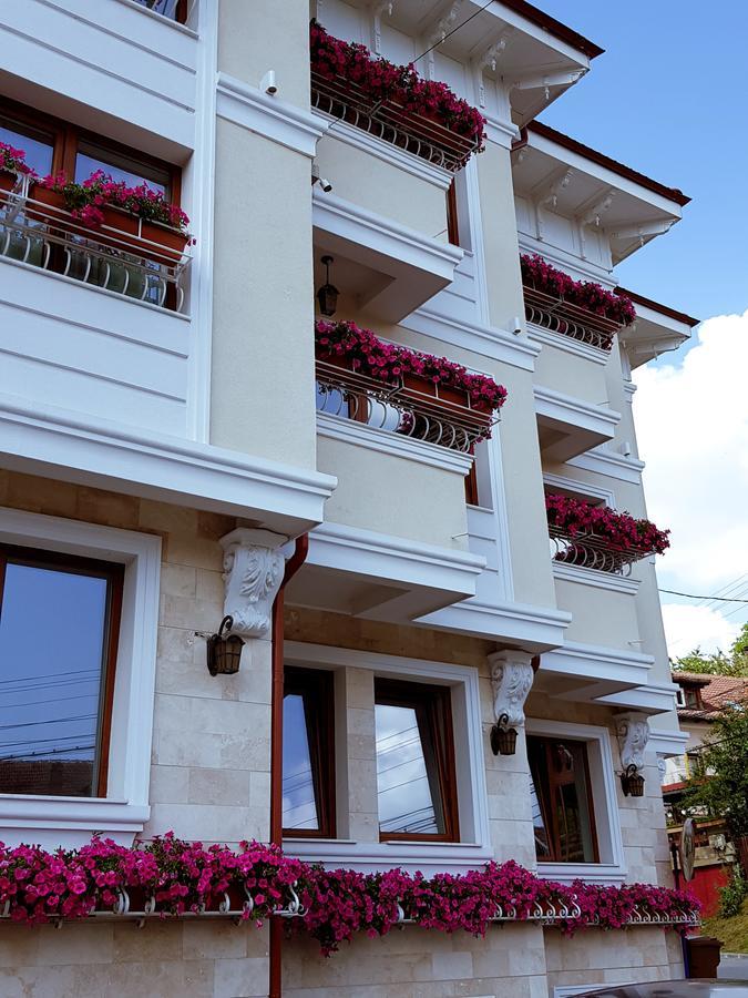 Pensiunea Geostar Curtea de Argeş Exterior foto