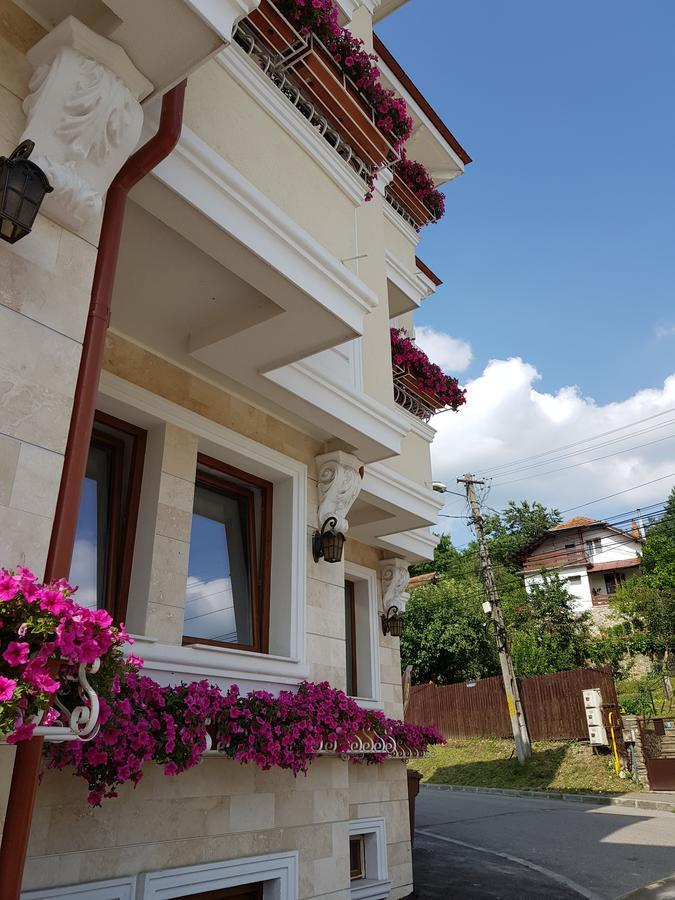Pensiunea Geostar Curtea de Argeş Exterior foto